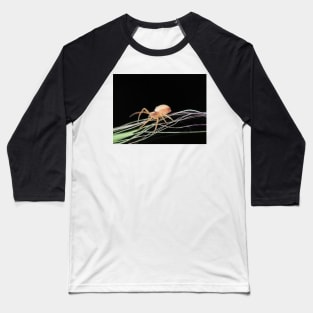 Small crab spider Baseball T-Shirt